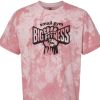 sgbf Spring Comfort Colors 2025 Photo 4